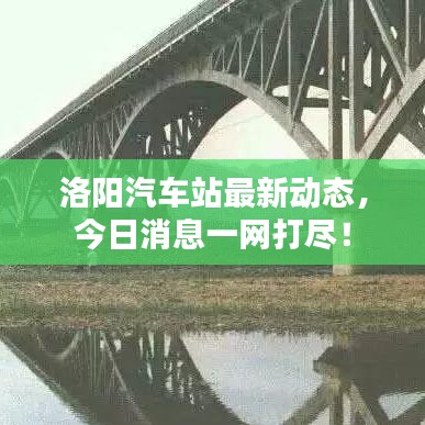 洛陽汽車站最新動態(tài)，今日消息一網(wǎng)打盡！