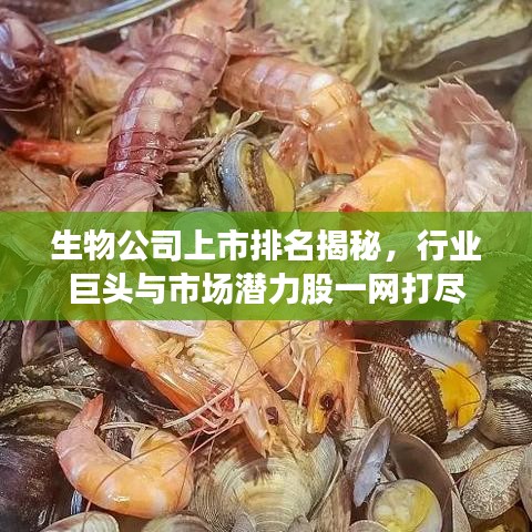 生物公司上市排名揭秘，行業(yè)巨頭與市場潛力股一網(wǎng)打盡
