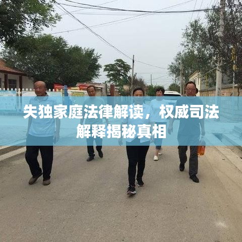 失獨(dú)家庭法律解讀，權(quán)威司法解釋揭秘真相