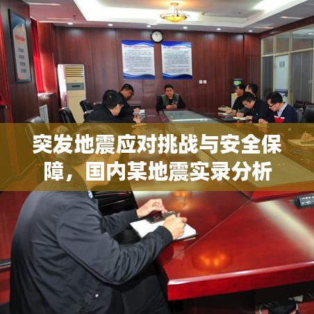 突發(fā)地震應(yīng)對挑戰(zhàn)與安全保障，國內(nèi)某地震實錄分析