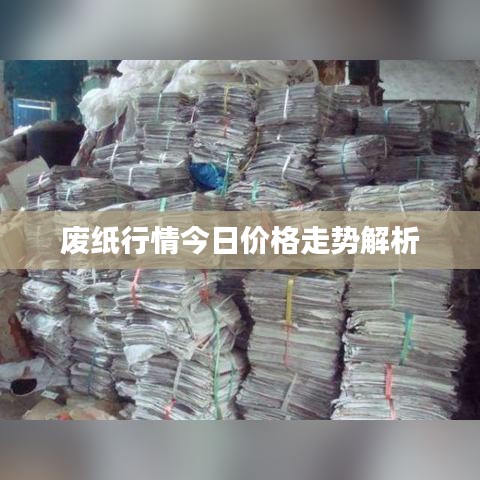 廢紙行情今日價(jià)格走勢(shì)解析