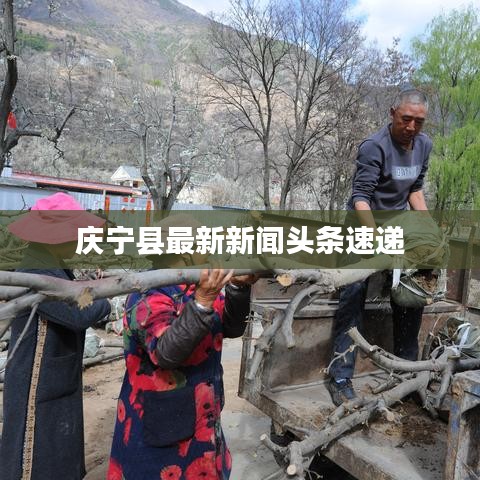 慶寧縣最新新聞?lì)^條速遞