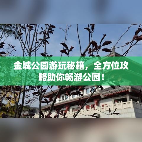 金城公園游玩秘籍，全方位攻略助你暢游公園！