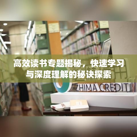 高效讀書專題揭秘，快速學(xué)習(xí)與深度理解的秘訣探索