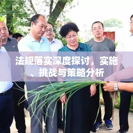 法規(guī)落實(shí)深度探討，實(shí)施、挑戰(zhàn)與策略分析