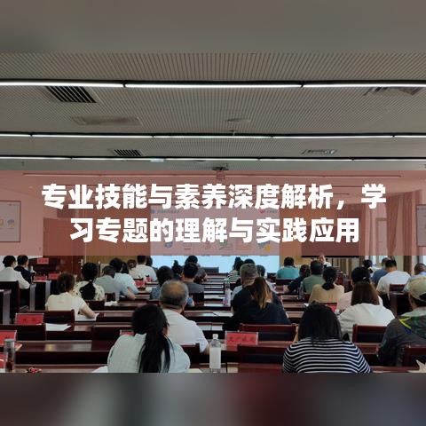 專業(yè)技能與素養(yǎng)深度解析，學習專題的理解與實踐應用