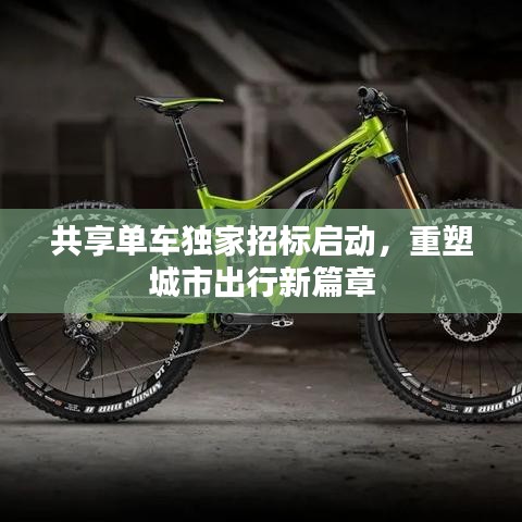 共享單車(chē)獨(dú)家招標(biāo)啟動(dòng)，重塑城市出行新篇章