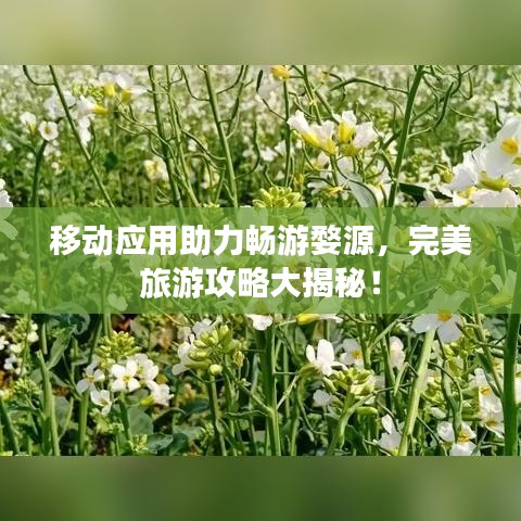移動應用助力暢游婺源，完美旅游攻略大揭秘！