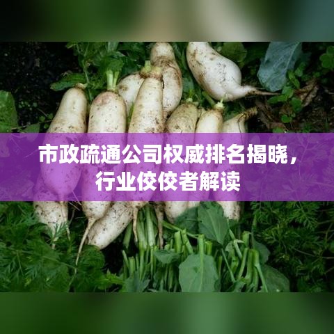 市政疏通公司權(quán)威排名揭曉，行業(yè)佼佼者解讀
