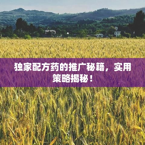 獨家配方藥的推廣秘籍，實用策略揭秘！