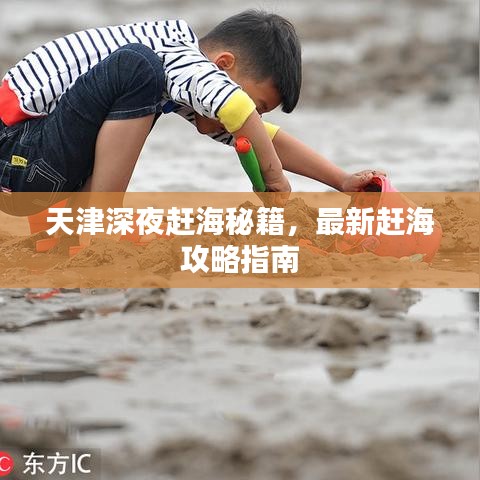 天津深夜趕海秘籍，最新趕海攻略指南