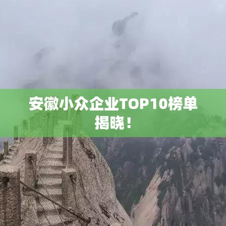 安徽小眾企業(yè)TOP10榜單揭曉！