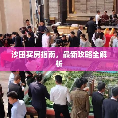 沙田買房指南，最新攻略全解析