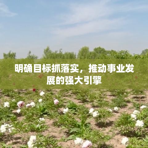 明確目標(biāo)抓落實(shí)，推動事業(yè)發(fā)展的強(qiáng)大引擎