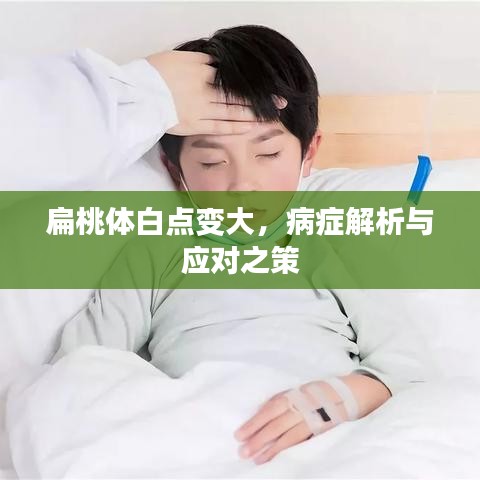 扁桃體白點(diǎn)變大，病癥解析與應(yīng)對(duì)之策