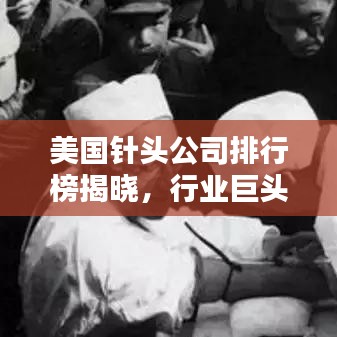 美國針頭公司排行榜揭曉，行業(yè)巨頭TOP排名榜單！