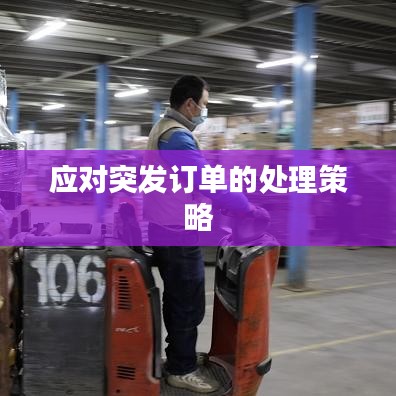 應對突發(fā)訂單的處理策略