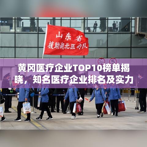 黃岡醫(yī)療企業(yè)TOP10榜單揭曉，知名醫(yī)療企業(yè)排名及實力解析