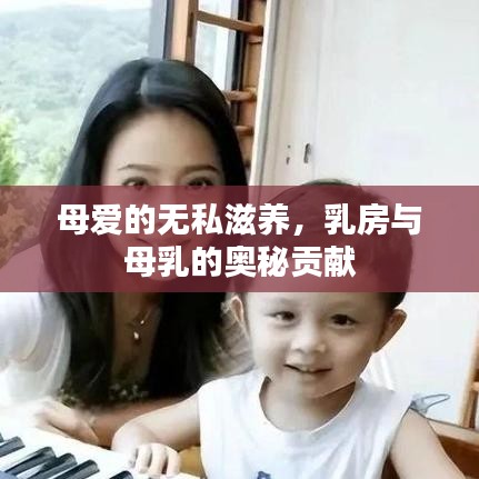 母愛的無私滋養(yǎng)，乳房與母乳的奧秘貢獻