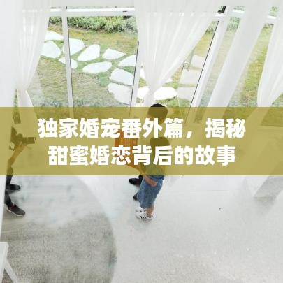 獨家婚寵番外篇，揭秘甜蜜婚戀背后的故事