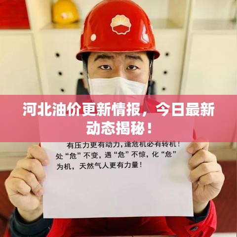 河北油價更新情報，今日最新動態(tài)揭秘！