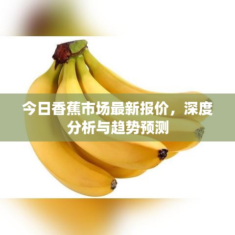今日香蕉市場(chǎng)最新報(bào)價(jià)，深度分析與趨勢(shì)預(yù)測(cè)