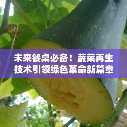 未來餐桌必備！蔬菜再生技術(shù)引領(lǐng)綠色革命新篇章