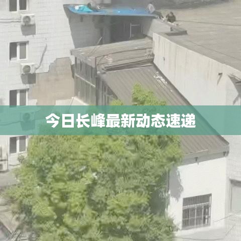 今日長峰最新動態(tài)速遞
