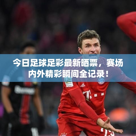今日足球足彩最新曬票，賽場內(nèi)外精彩瞬間全記錄！