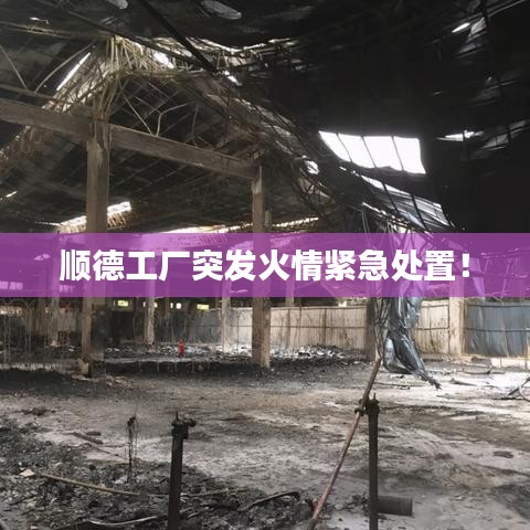 順德工廠突發(fā)火情緊急處置！