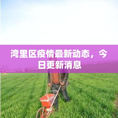 灣里區(qū)疫情最新動態(tài)，今日更新消息