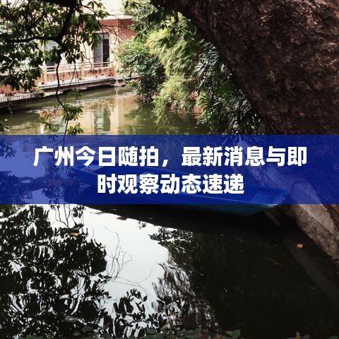 廣州今日隨拍，最新消息與即時(shí)觀察動態(tài)速遞